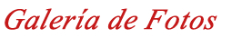 Vida Perú